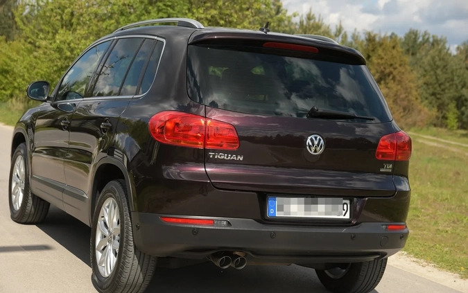 Volkswagen Tiguan cena 59900 przebieg: 182000, rok produkcji 2013 z Lubomierz małe 704